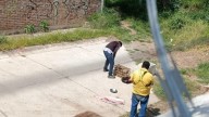 Captura ilegal de pericos en León genera denuncias ciudadanas
