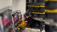 Kentucky Woman Stunned By What She Sees Her Dog Doing In The Garage