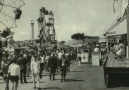 NYS Fair job stories: His trash collection job led to a free breakfast with ‘The Bearded Lady’