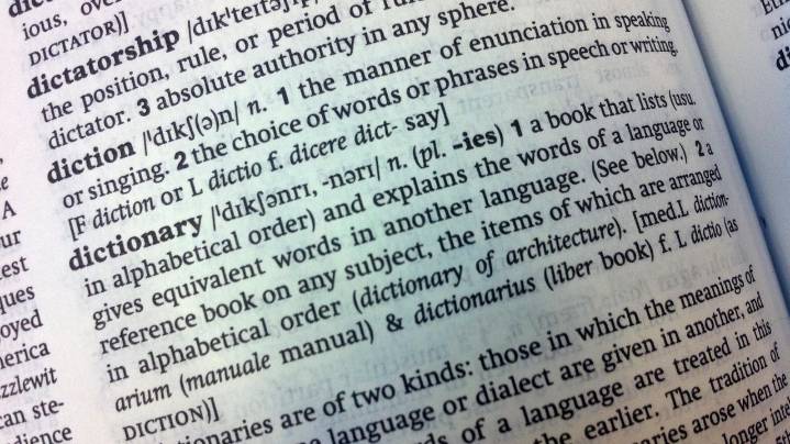 Cambridge Dictionary adds 'skibidi' and 'tradwife' among 6,000 new words