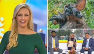 ‘You Go Out and Shoot It?’: Fox Hosts Irked by ‘Gross’ Frankenstein Bunnies
