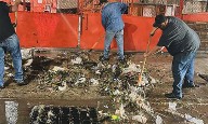 Satura basura parrillas pluviales en bulevares