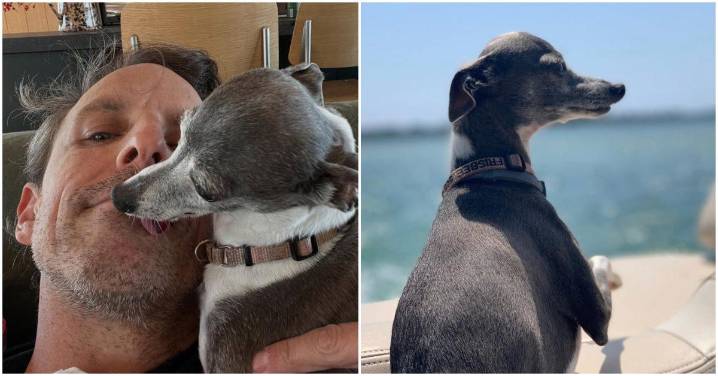 Seth Meyers’s Beloved Pup Frisbee Died — Did Notorious Frisbee Hater Andy Samberg React?