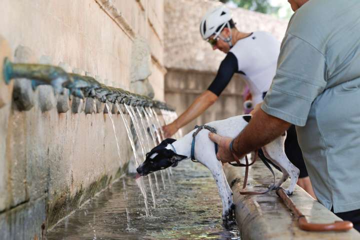 La ola de calor no nos abandona: la Aemet alarga su previsión de duración