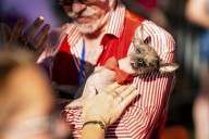 Photos of the World's Ugliest Dog Contest held in California