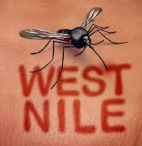 West Nile Virus detected in Daviess County mosquitoes