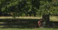 Ola de calor azota partes de Europa y aumenta el riesgo de incendios en Francia