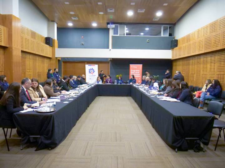 Programa Red Local de Apoyos y Cuidados llega a 18 comunas este año
