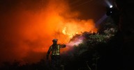 Última hora de los incendios en España: El incendio de Zamora puede ser el peor en España desde que hay registros