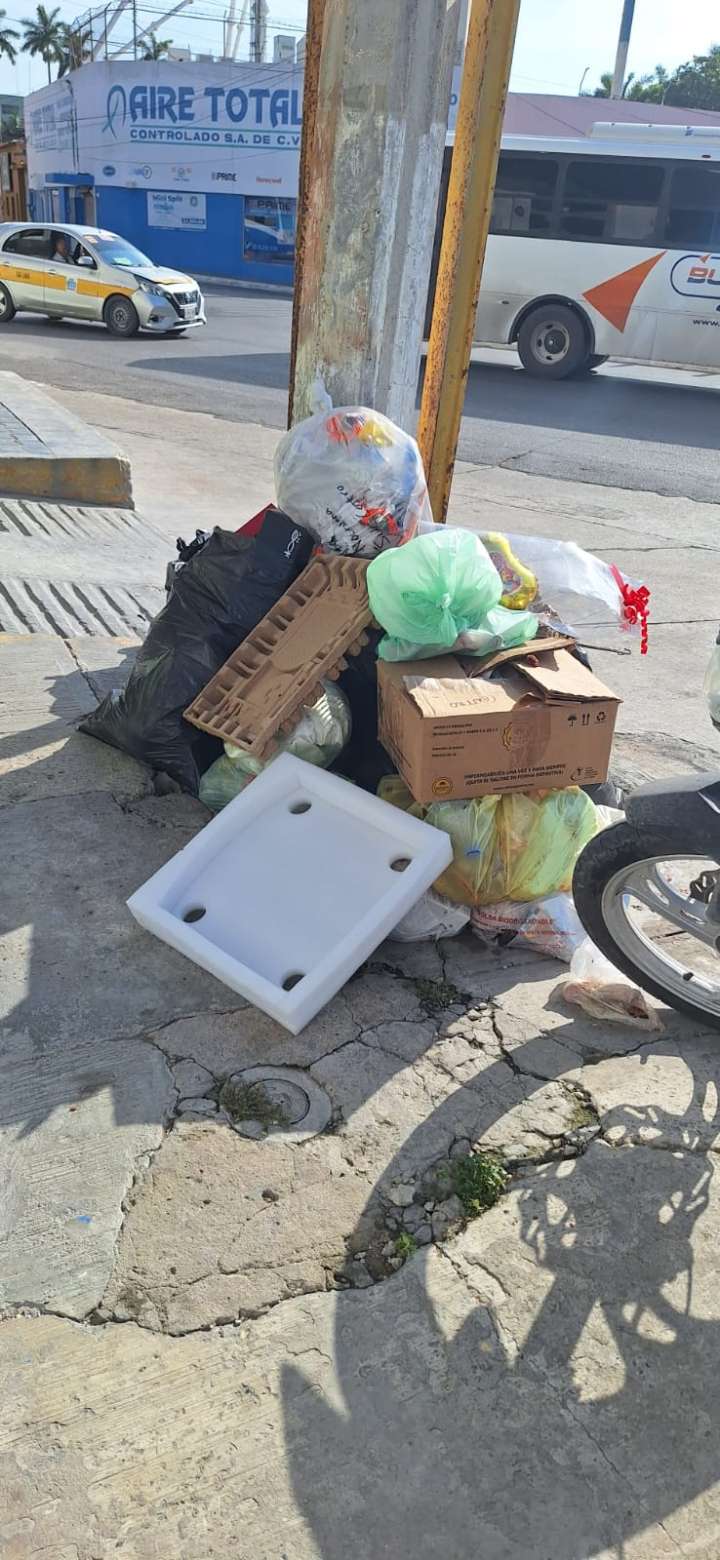 Quien tire basura en vía pública será multado con mil pesos