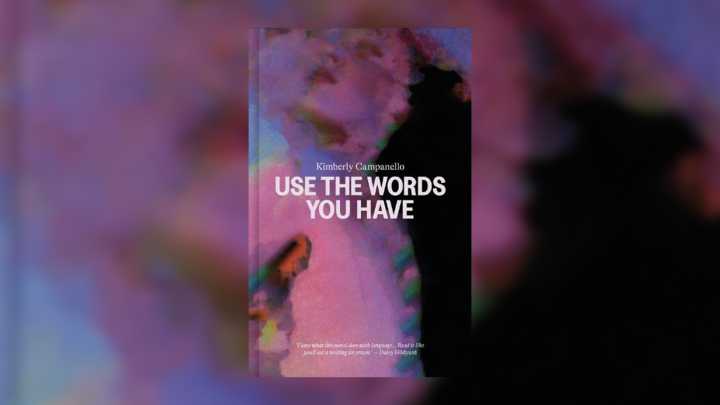 Use the Words You Have by Kimberly Campanello review