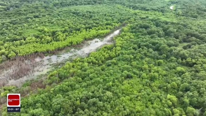 Search for missing woman in Okmulgee County ends empty again
