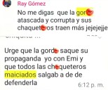 Regidora panista de Salamanca denunciará violencia política de género