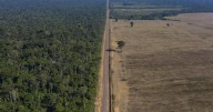 ¿Qué significa la lucha por la moratoria de la soya en Brasil y qué pasará después?