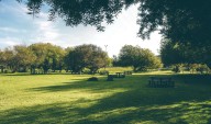 Espacios verdes son claves para combatir las olas de calor