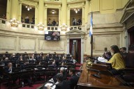 El Senado debate proyectos presidenciales