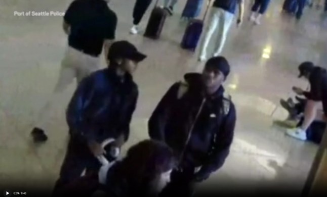 Security video shows Olympic gold medallist attacking boyfriend at airport