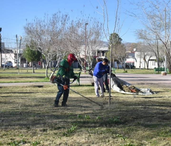 Realizan labores de mantenimiento en parque Hidalgo