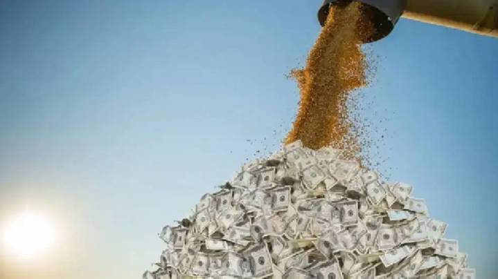 Sector agropecuario: de una inversión, "el 20% es capital propio y 70
