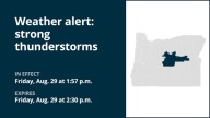Marble-sized hail foreseen with thunderstorms to hit Ochoco-John Day Highlands Friday – gusts up to 40 mph