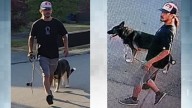 Nanaimo RCMP arrest man who allegedly punched, kicked dog