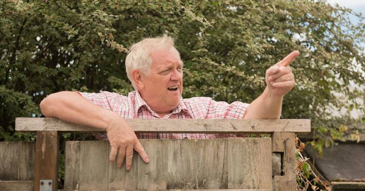 'My neighbour massively overstepped while we were away and it's weird'