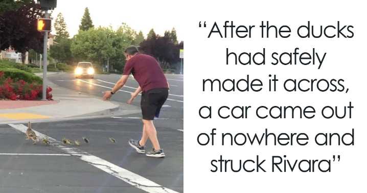“Photos Taken Before Disaster”: 35 Pictures That Foreshadow Unfortunate Events