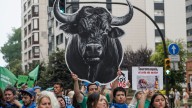 Cientos de personas participan en una manifestación antitaurina frente a El Bibio en Gijón