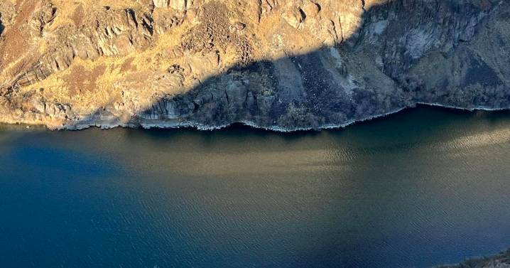 Invasive mussels not yet found in Snake River this summer
