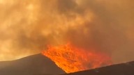 ¿Está permitido limpiar los montes para evitar nuevos incendios? Los expertos responden