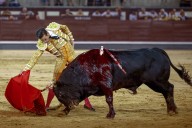 Molina dio un paso adelante en Madrid