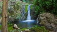 Herida una senderista tras caer en una zona escarpada del barranco de Azuaje
