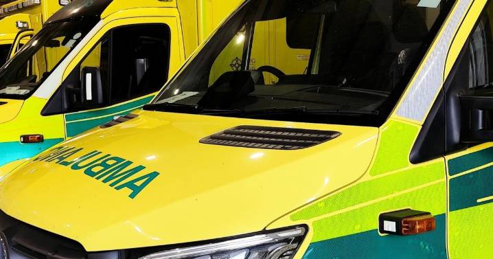 Woman dies after crash in Hammersmith's King Street