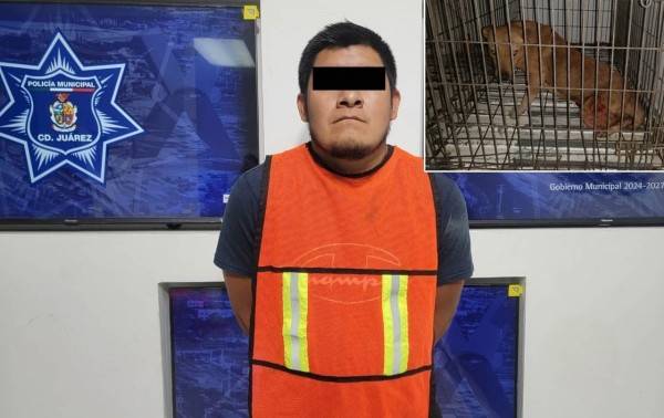 Dan prisión preventiva a hombre que le cortó los genitales a un perro