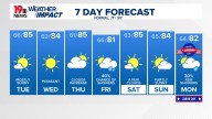 Local Forecast