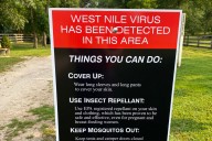 DC Health urges residents to take precautions after several birds test positive for West Nile virus
