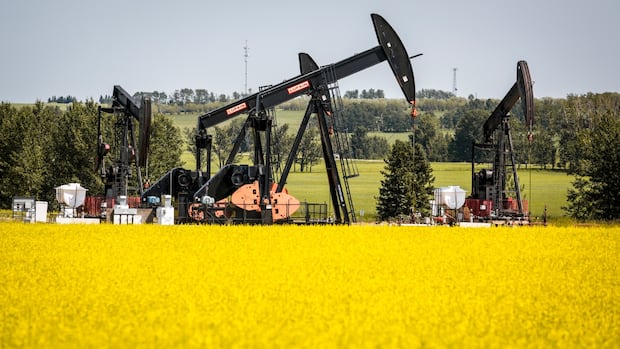 Federal ministers meet with canola lobby to discuss new tariffs from China