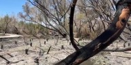 Wetlands Park ready for storms amid wildfire recovery