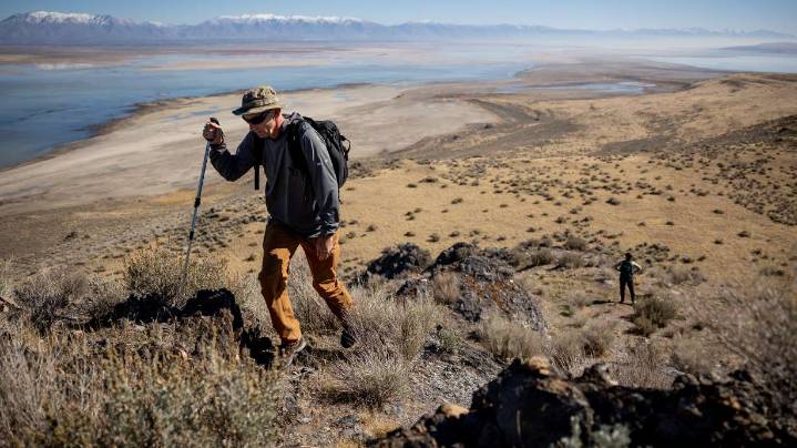 Utah could bring bighorn sheep back to another Great Salt Lake island