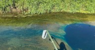 Fish kill in Garner: Copper spill from Zinpro facility investigated