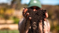 What Your Garden's Soil Color Really Means And Why It Matters