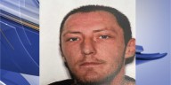 Man who stole police cruiser back in custody