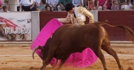Novillada mixta con picadores en Guijuelo, 17 de agosto