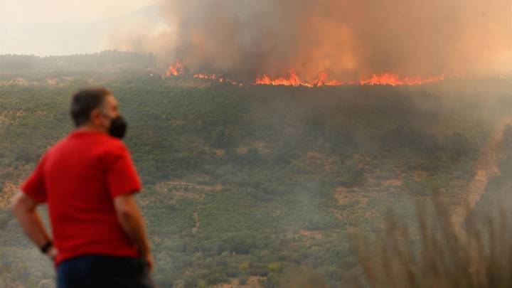 La Junta de Castilla y León aplicará el tope máximo de ayuda establecido para inversiones de pymes en las áreas afectadas por los incendios