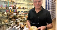 Bones of ancient child suggest humans could have interbred with Neanderthals earlier than thought
