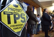 Tribunal de Apelaciones de EE. UU. falla a favor de venezolanos: concluye que el fin del TPS es ilegal