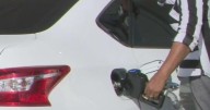 Florida gas prices up 10 cents in last week, AAA says