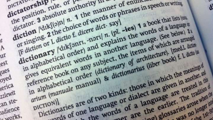 Cambridge Dictionary adds ‘skibidi’ and ‘tradwife’ among 6,000 new words