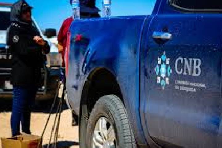 CNB abre convocatoria para buscar titular