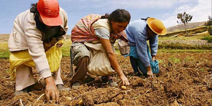 Minería y agro: la oportunidad estratégica para las regiones